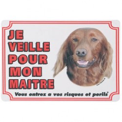 1 Plaque de garde Setter Irlandais 