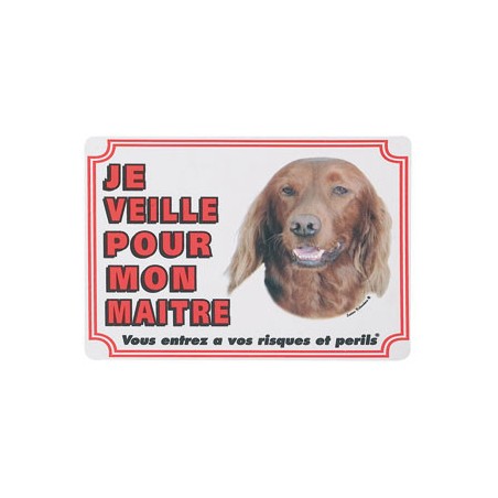1 Plaque de garde Setter Irlandais 