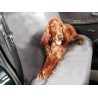 Couverture de Protection voiture Chien Car Guard