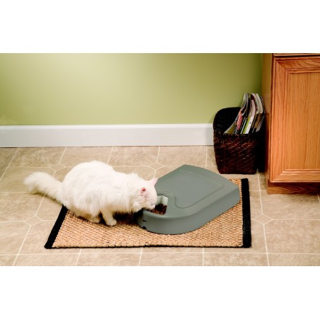 Distributeur automatique 5 repas