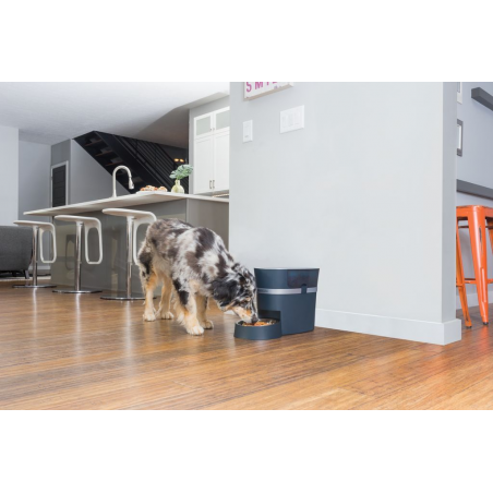 Distributeur automatique 12 repas