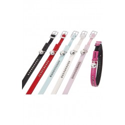 1 Collier Monte Carlo pour chat 