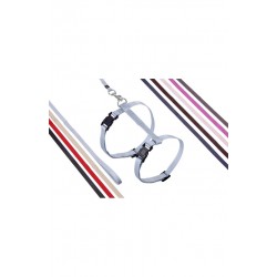 1 Harnais Art sportiv pour chat adulte